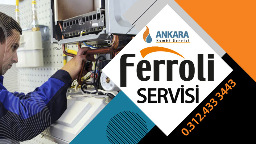 Ankara Ferroli Hidrofor Servisi 